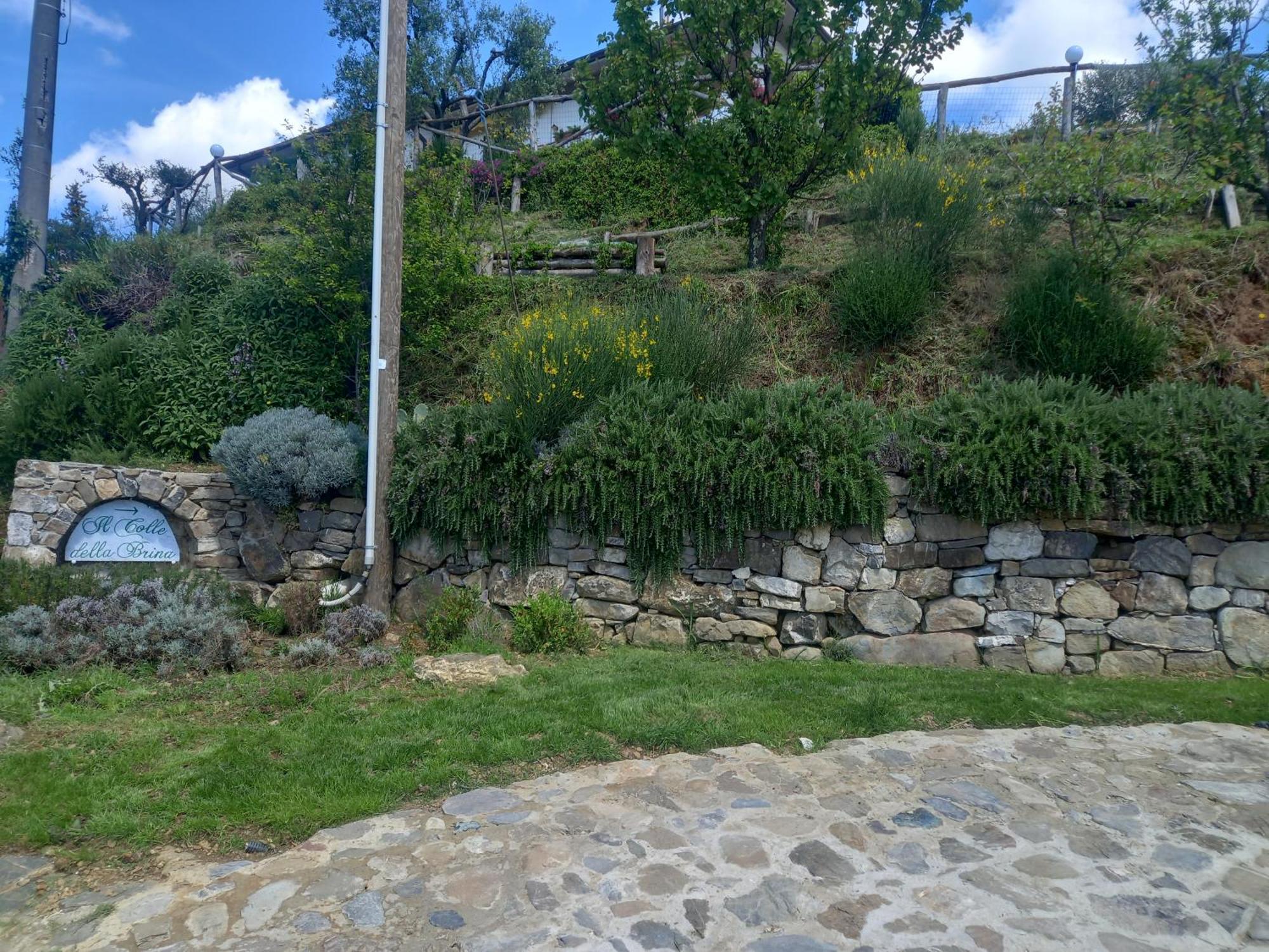 Il Colle Della Brina Otel Sarzana Dış mekan fotoğraf
