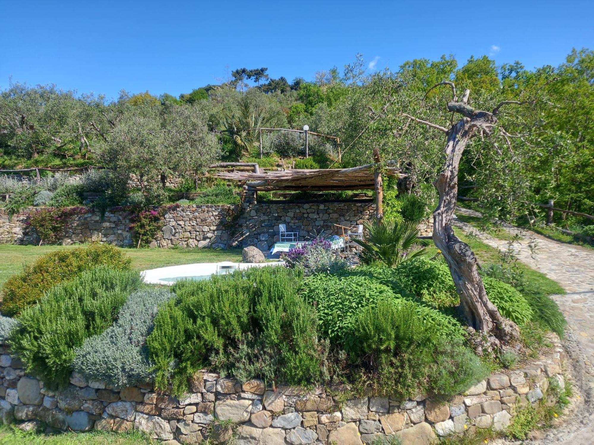 Il Colle Della Brina Otel Sarzana Dış mekan fotoğraf