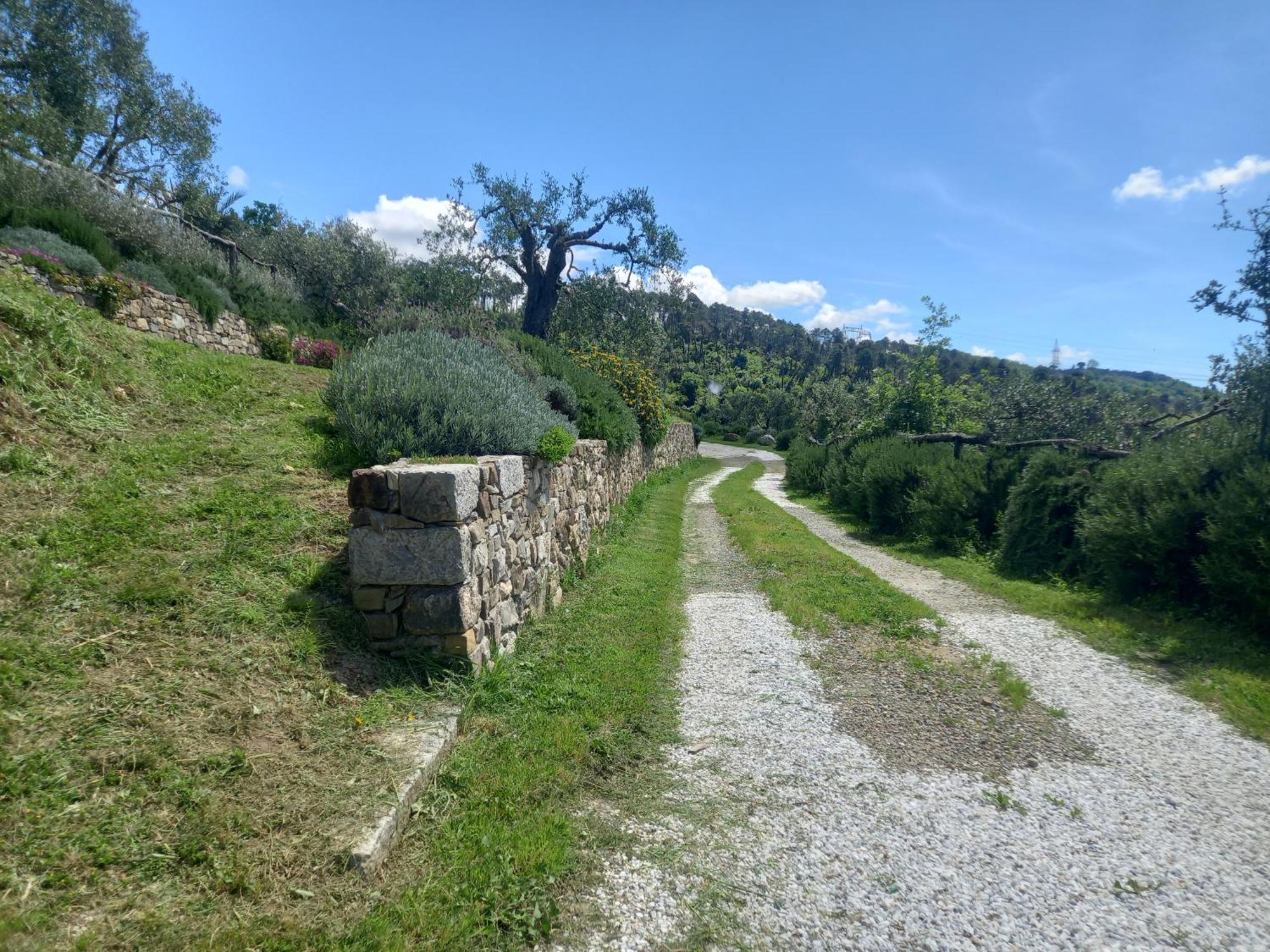 Il Colle Della Brina Otel Sarzana Dış mekan fotoğraf
