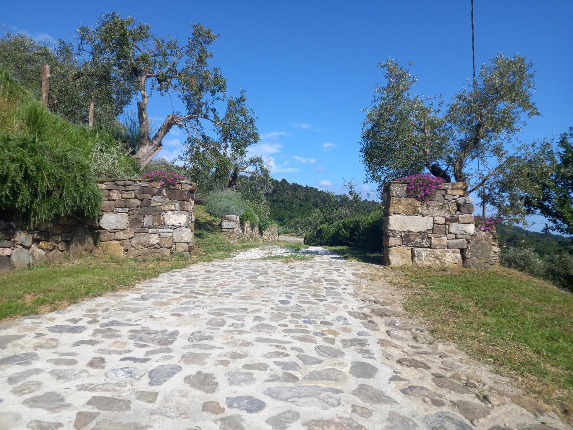 Il Colle Della Brina Otel Sarzana Dış mekan fotoğraf